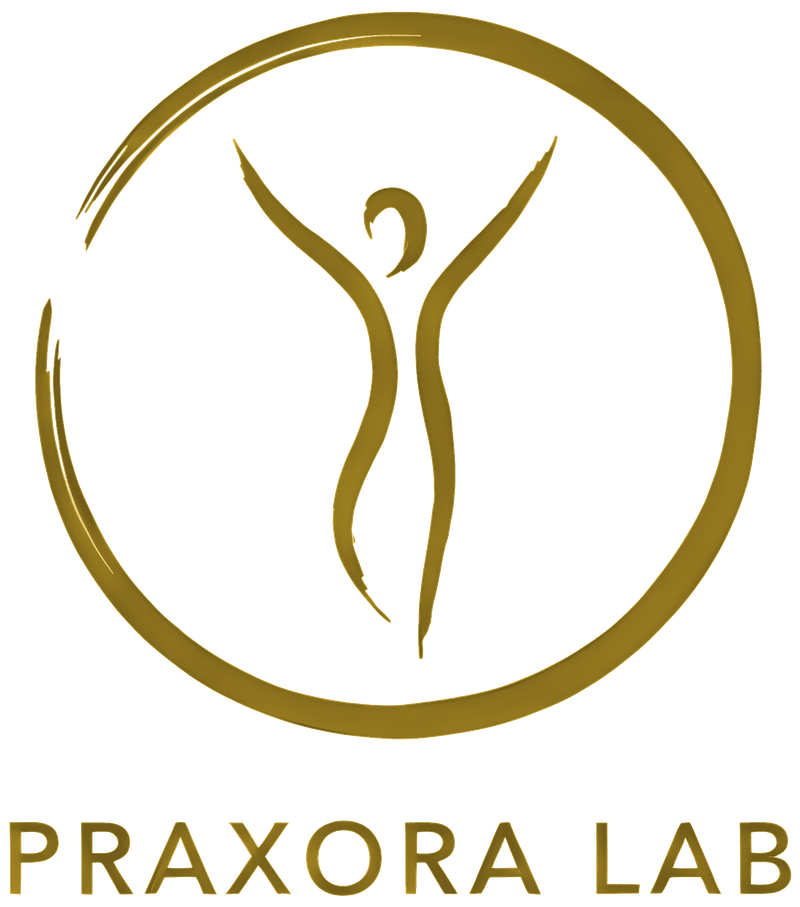 The Praxora Lab mark: a raised-arm figure inside a brush-stroke ring, above the Praxora Lab wordmark